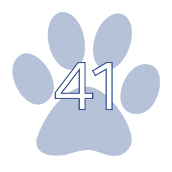 41 Teachers Served