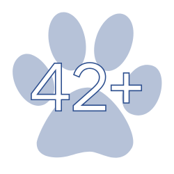 42+ Support Staff Served