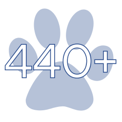 440+ Families Served