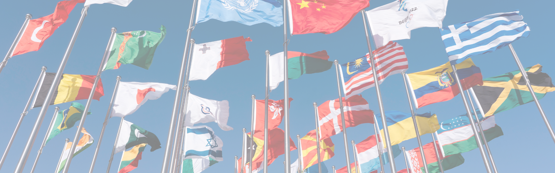 Taste of the World Flag Image