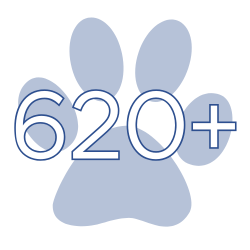 620+ Students Served